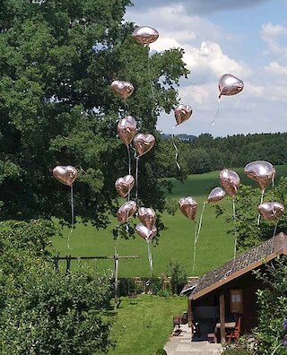 Herzluftballons im Garten Göttler