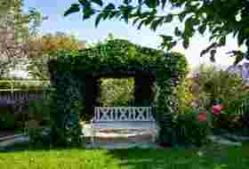 Garden with garden bench and roses