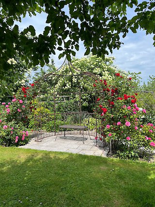 Ihre Outdoor-Feier wartet